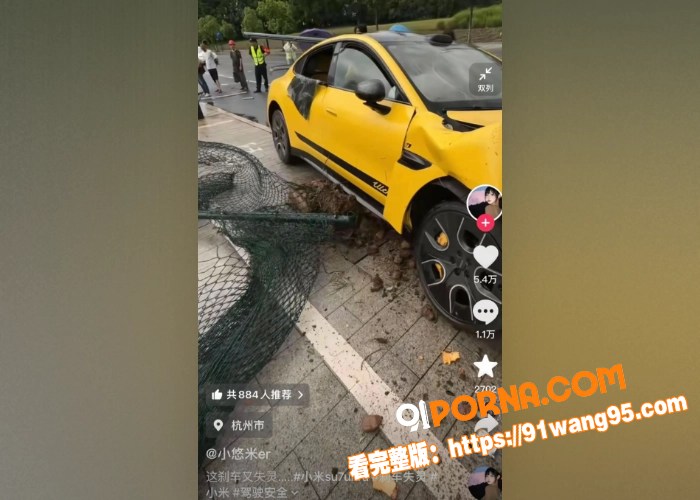 抖音爆火车主小米su7u...（15）