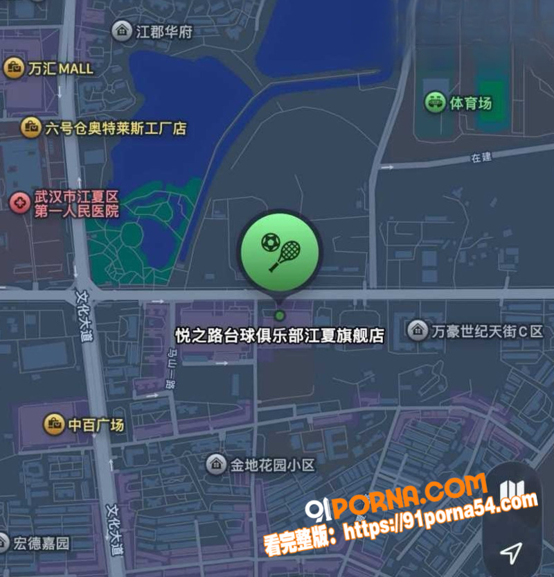 武汉江夏区悦之路台球厅 ...（9）