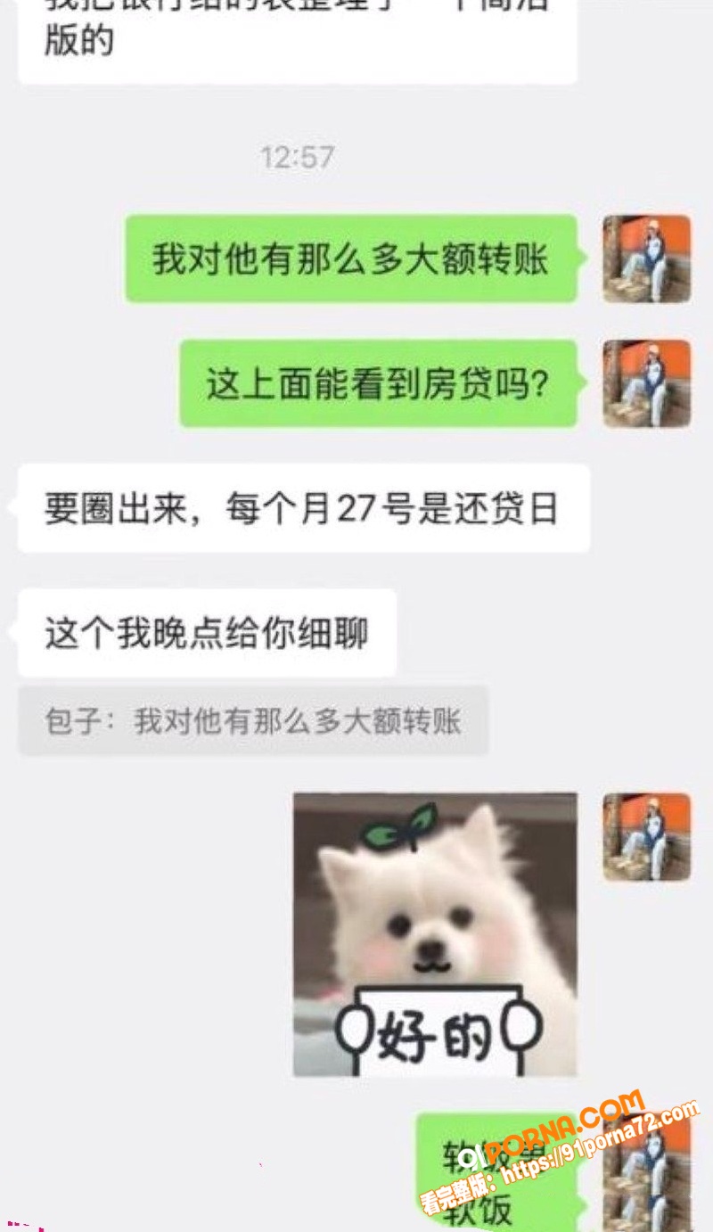 抖音网红 包子别吃 前夫...（18）