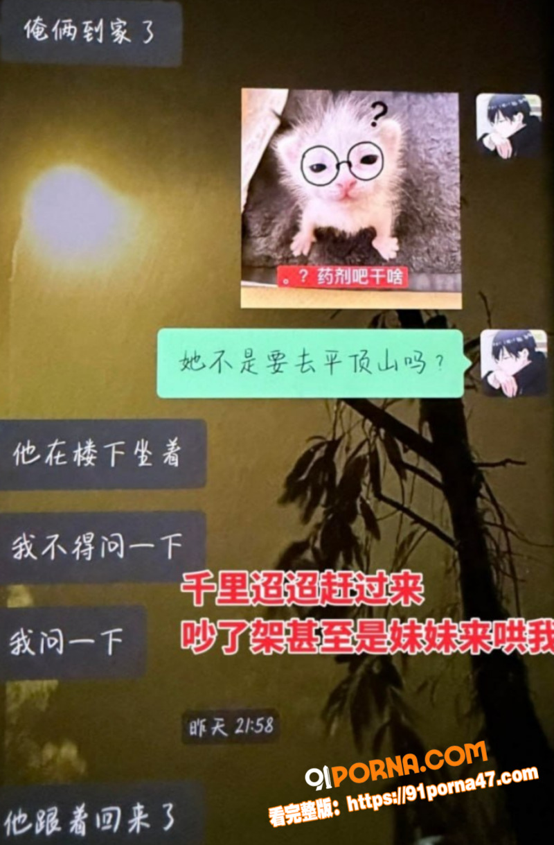 上海渣男 王景天 出轨河...（4）