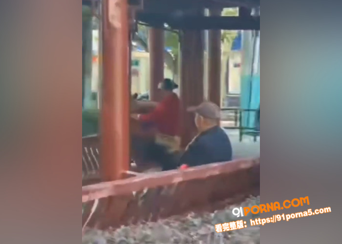 公园凉亭转角遇到爱！老登...（4）