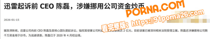迅雷前CEO 陈磊 狗血...（4）