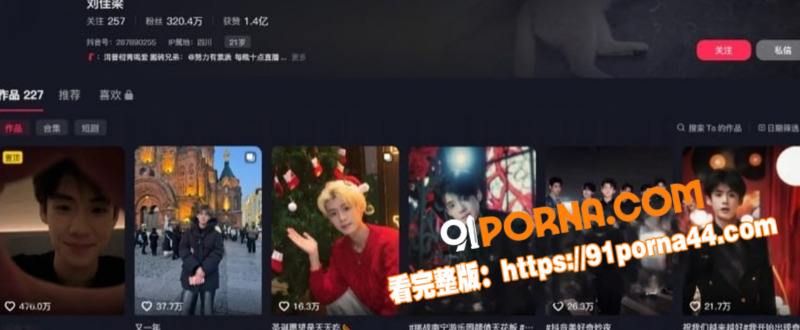 抖音300万粉丝网红博主...（19）