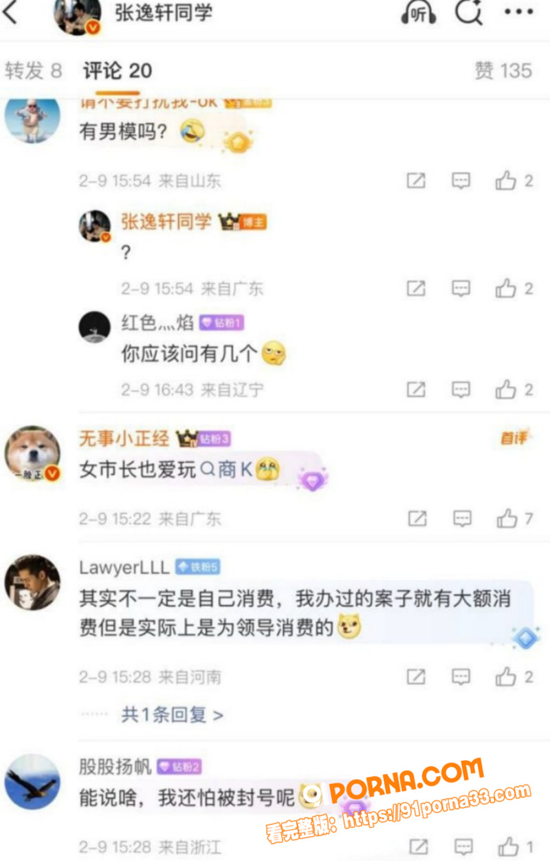 湖南邵阳最美副市长 仇珂...（5）