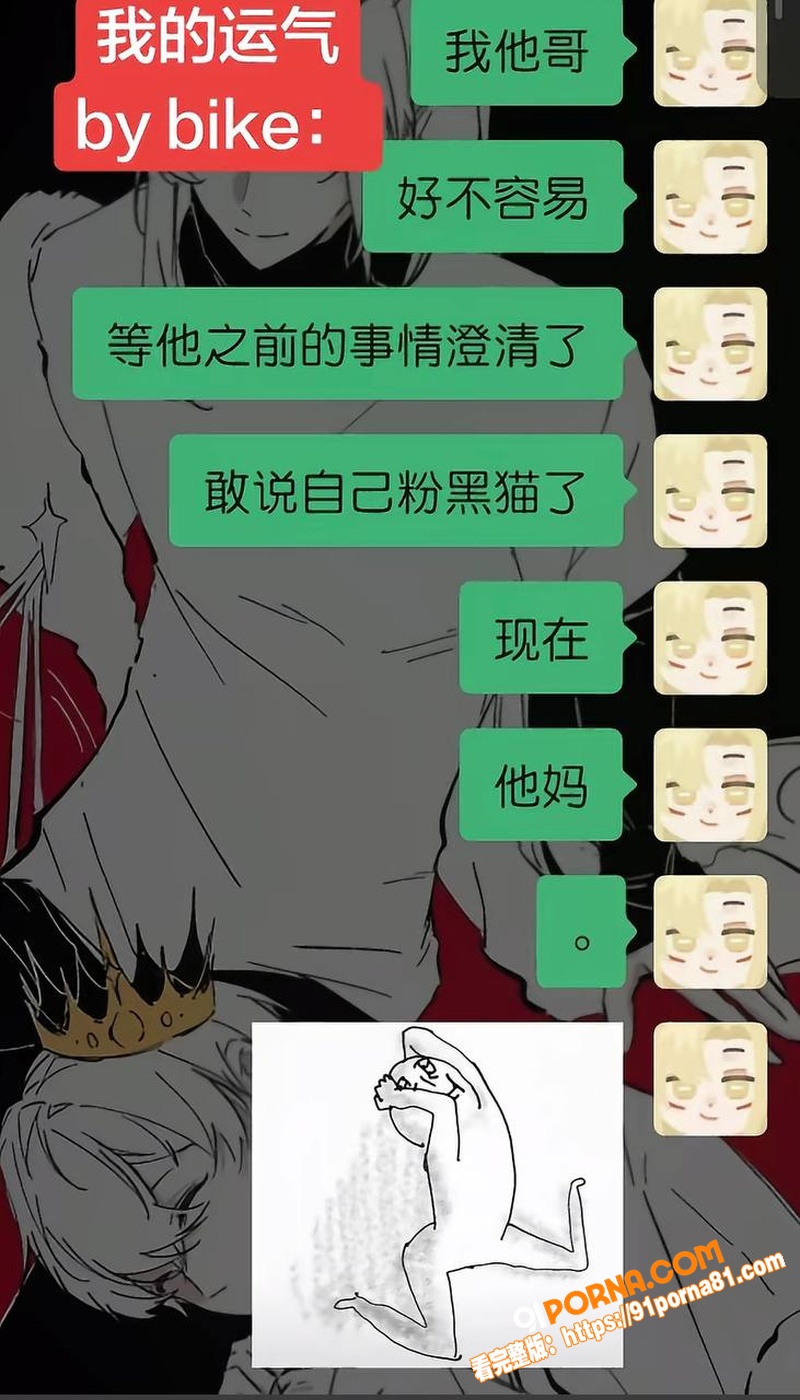 百万UP主 黑猫大少爷 ...（36）
