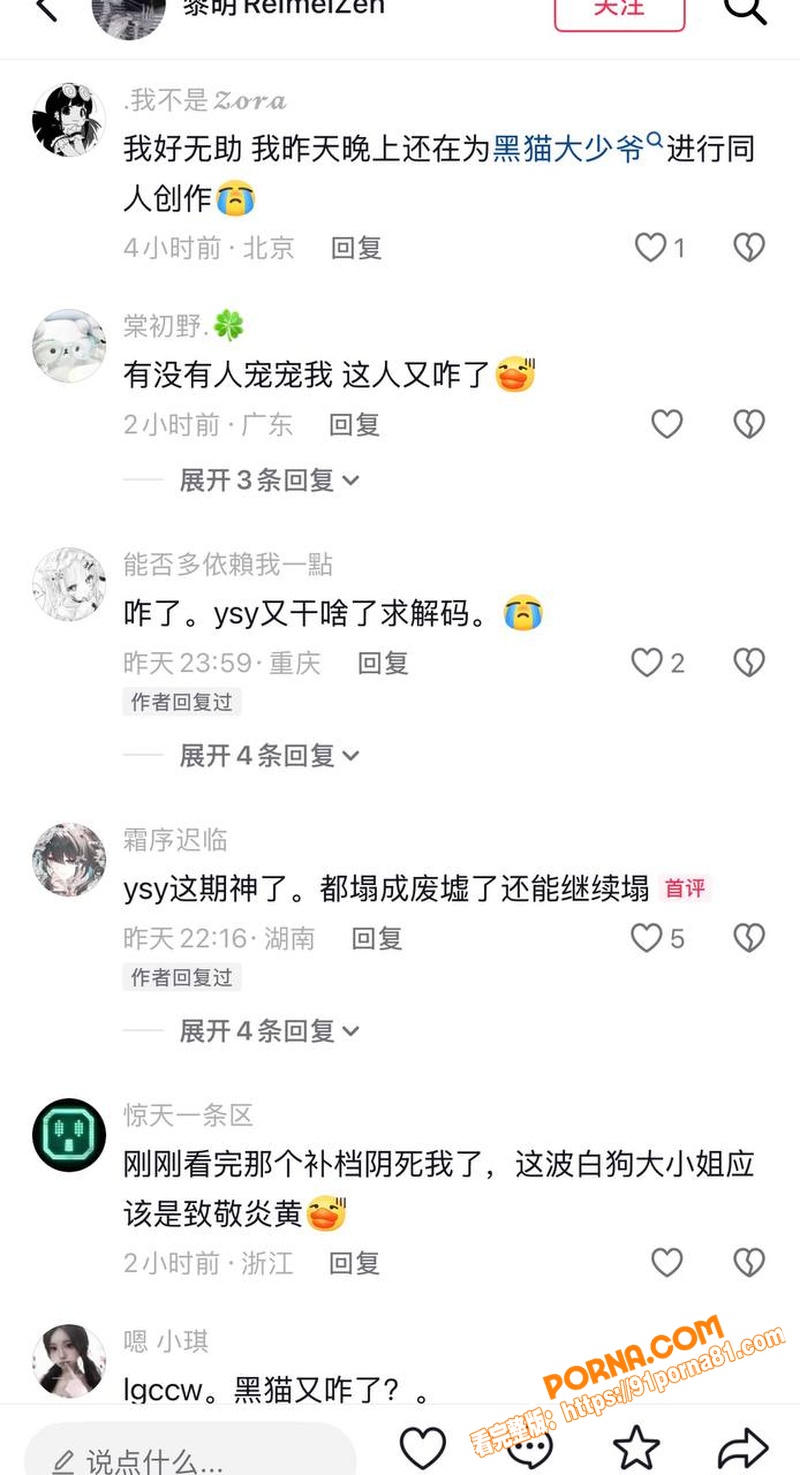百万UP主 黑猫大少爷 ...（31）