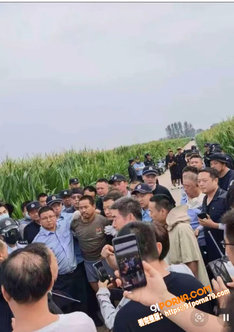 河南西平7.30命案告破...（7）