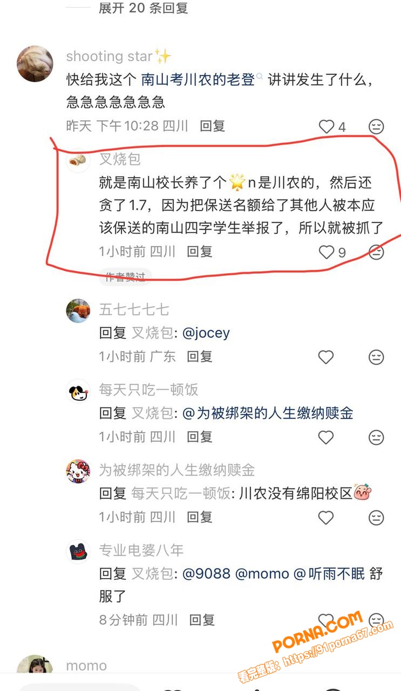 绵阳南山中学校长 徐勇 ...（15）