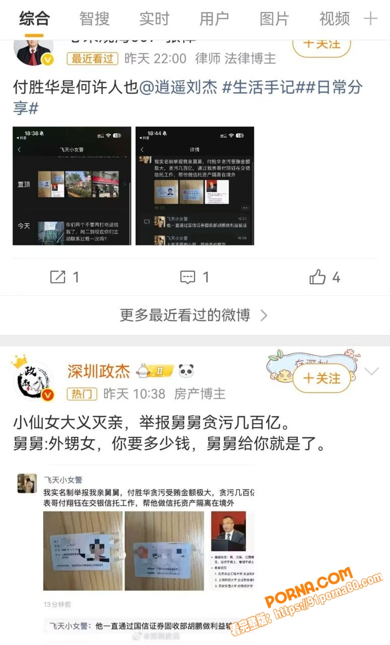 湖南长沙副市长 付胜华 ...（8）