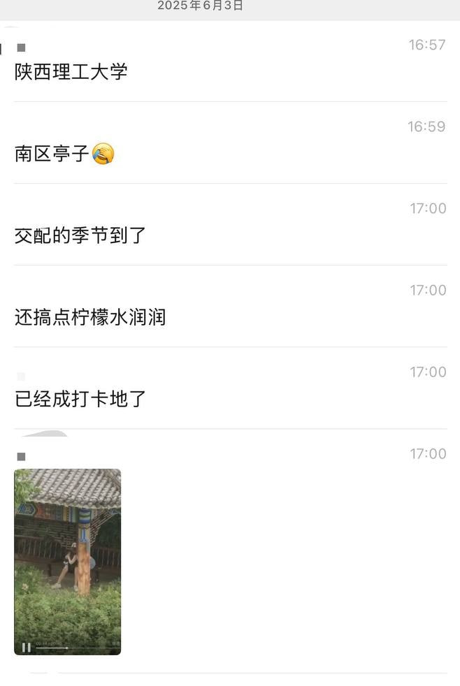 陕西理工大学 小情侣凉亭...（3）