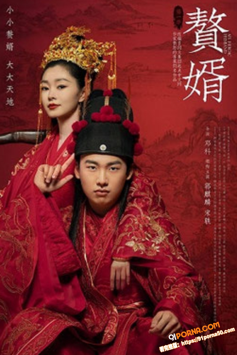 AI魔改赘婿 古风美女一...（5）