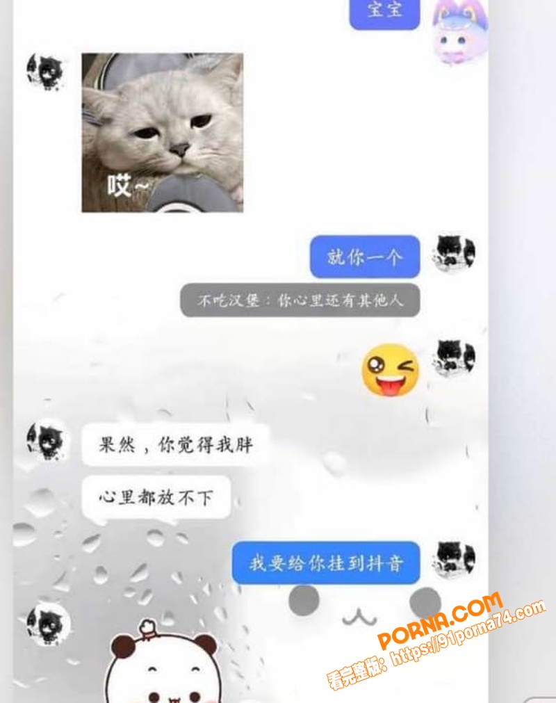 抖音30万粉网红 不吃汉...（17）