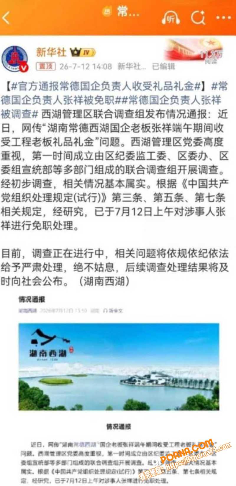 湖南常德国企董事长 张祥...（3）
