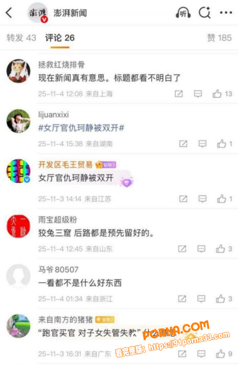 湖南邵阳最美副市长 仇珂...（1）
