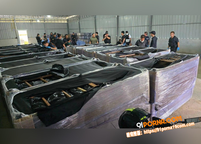 柬埔寨大嫂劫狱事件最新后...（9）