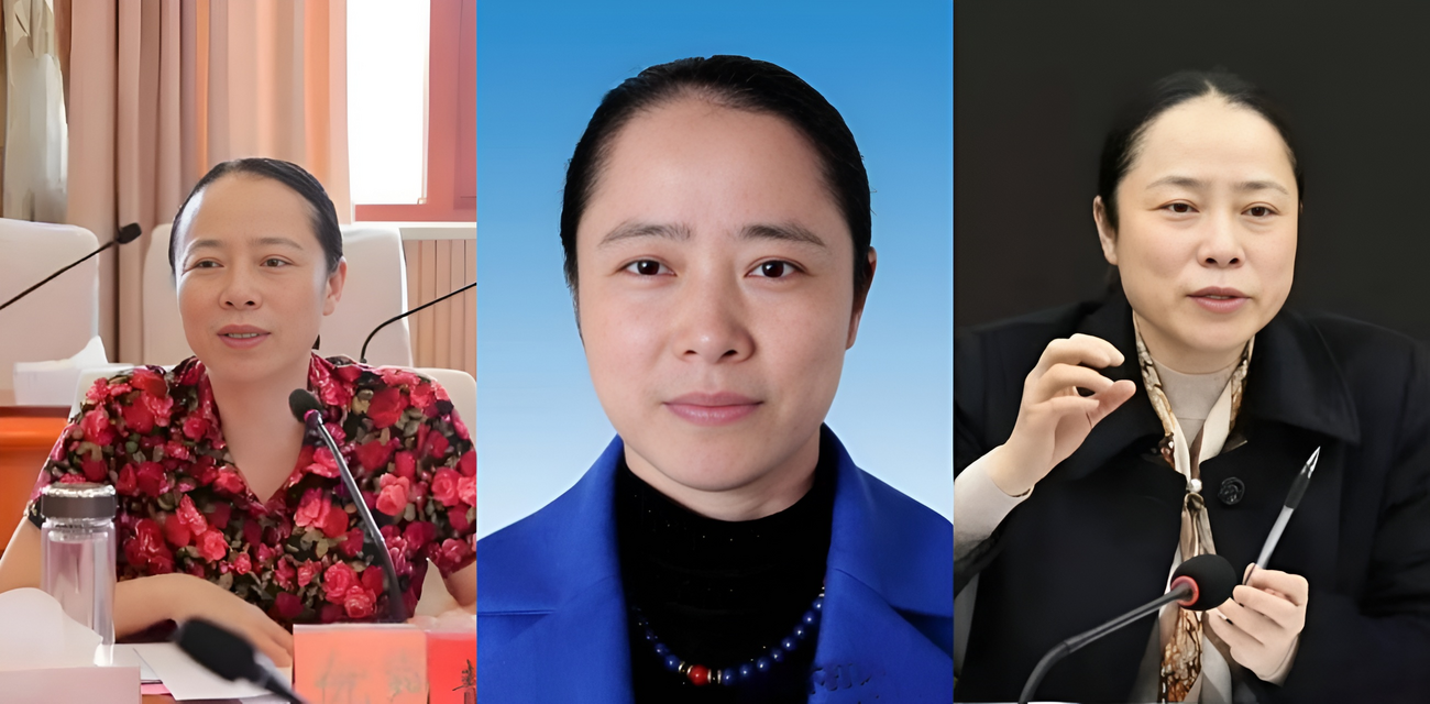 湖南邵阳最美副市长 仇珂静 被开除党籍移送检察院 权色交易包养男模丑闻曝光！